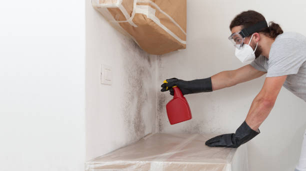 Professional Basement Mold Remediation technician working in Castalia, NC