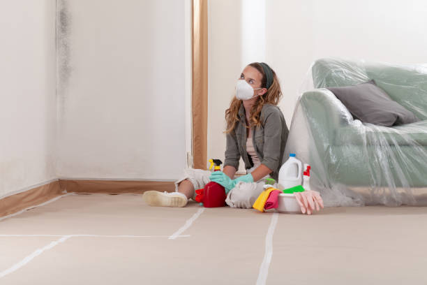 Reliable Basement Mold Remediation contractor in Castalia, NC by 24 Hour Mold Removal